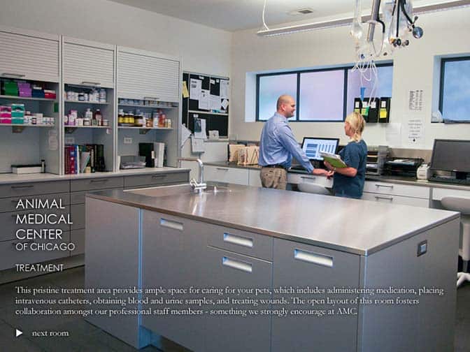 Veterinarian in Chicago Vet Near You Animal Medical Center of Chicago