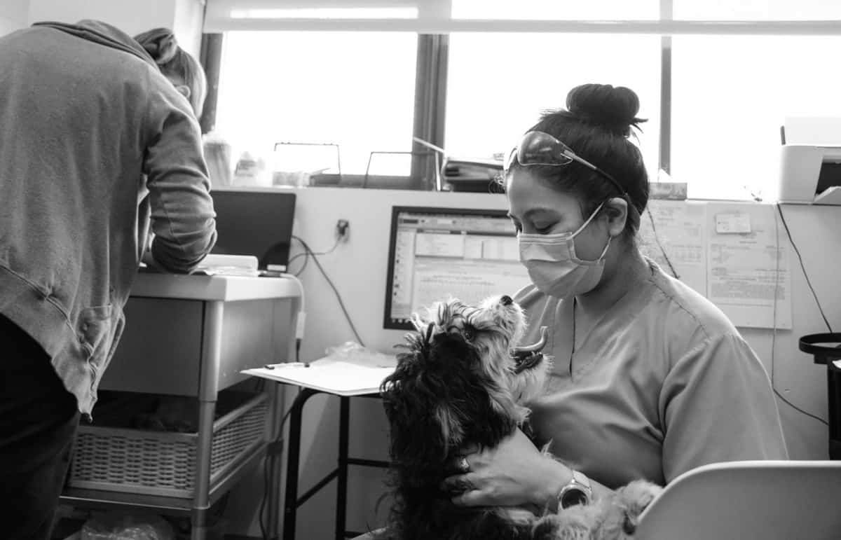 Advanced Pet Care Services